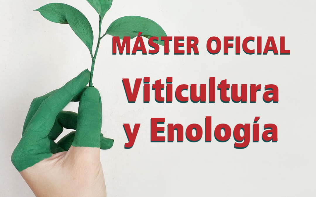 ¿Por qué estudiar el Máster Oficial en Viticultura y Enología?