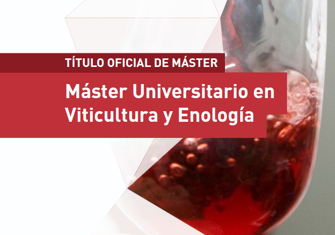 Cómo el Máster en Viticultura y Enología de la UMH te prepara para las competencias del Enólogo (según el RD 595/2002)